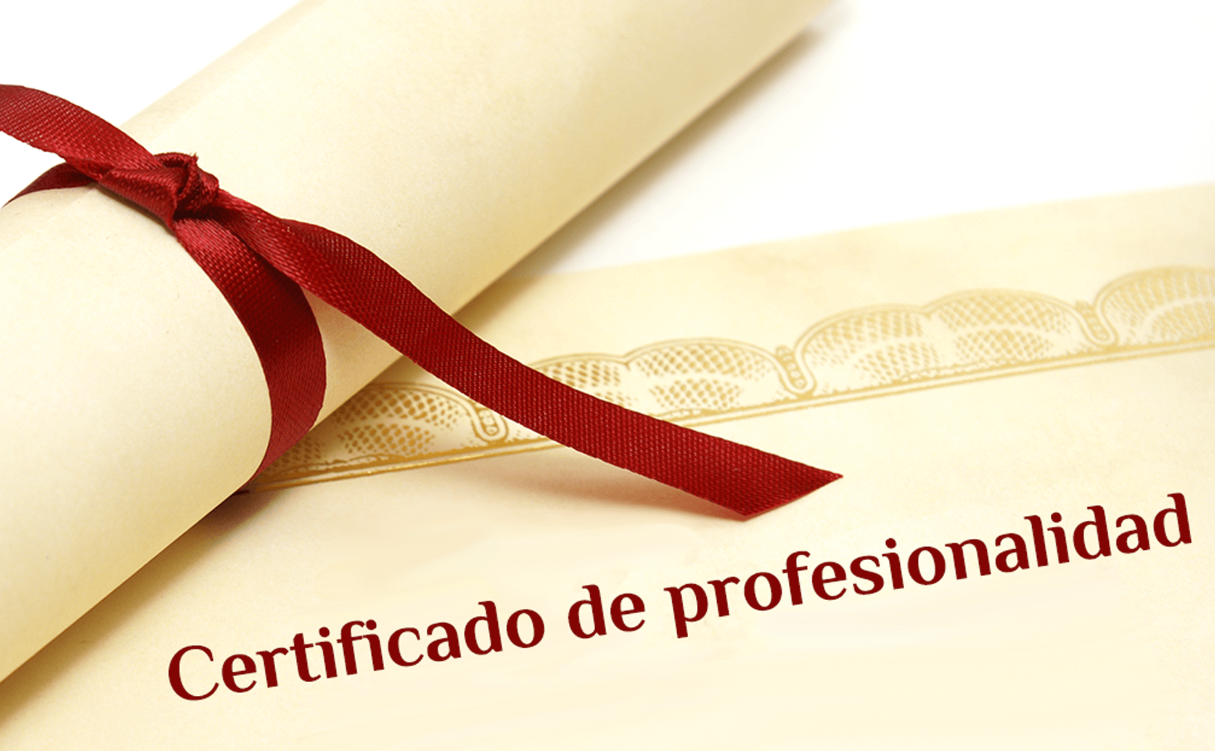 certificado-de-profesionalidad